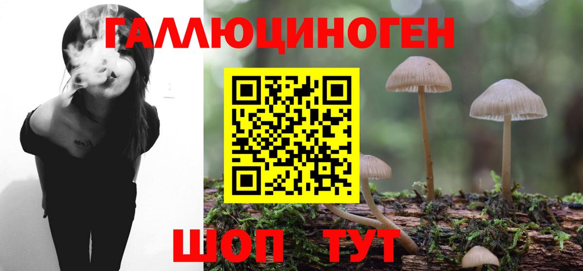 цены   Псилоцибиновые грибы GOLDEN TEACHER  Семёнов  Вход с VPN  Галлюциногенные грибы Cubensis 